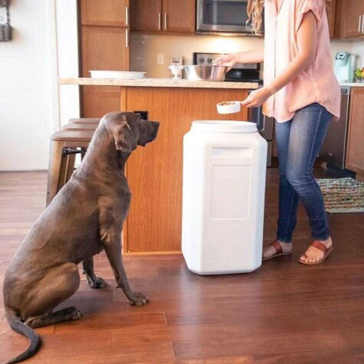Pet Food Container A3443