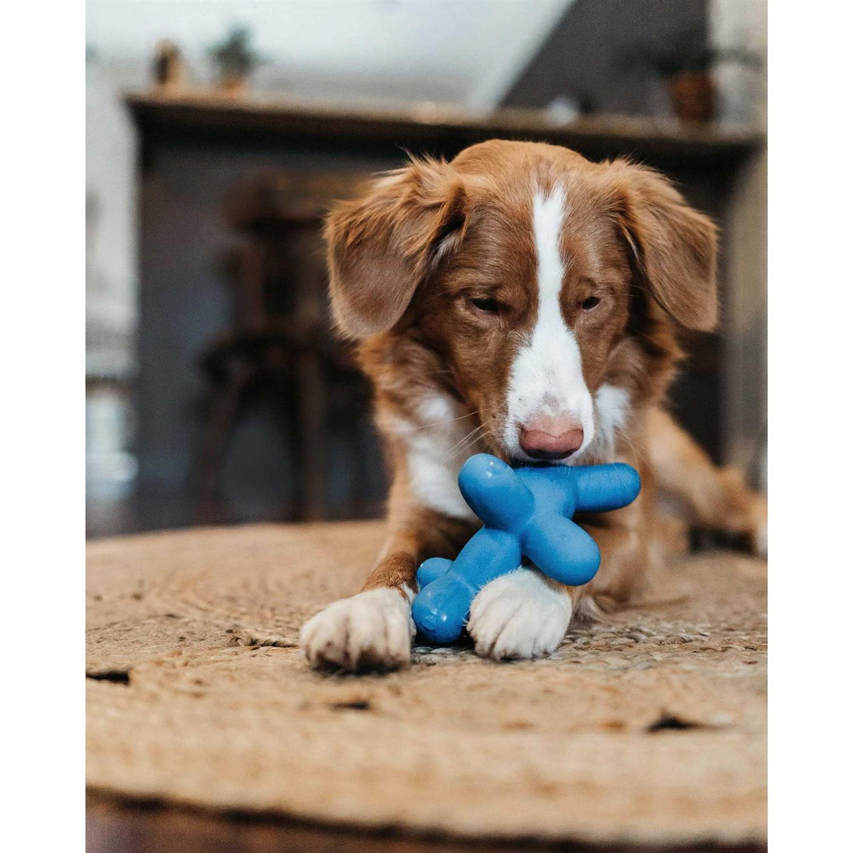 Latex Dog Toy C519