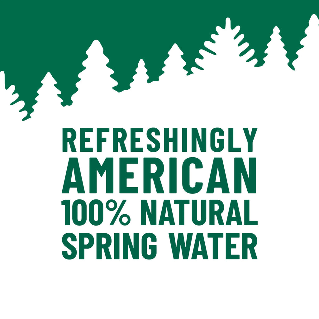 100% Natural Spring Water 900 mL 12 Count R32941